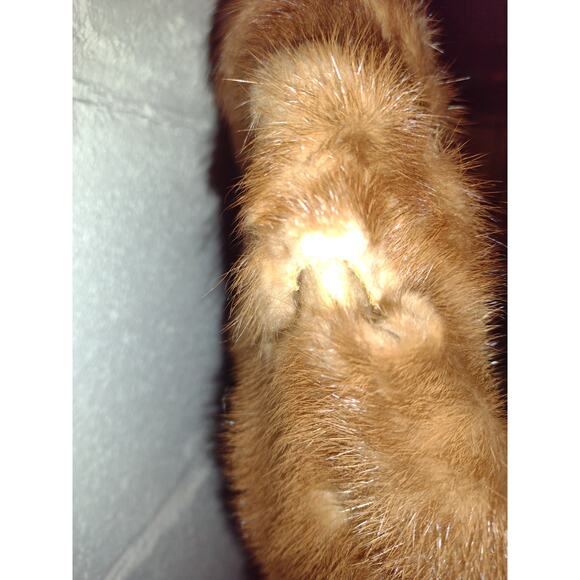 Shillitos Fur Salon Cincinnati Women's Shawl - Picture 3 of 4